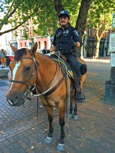 Horse Patrol